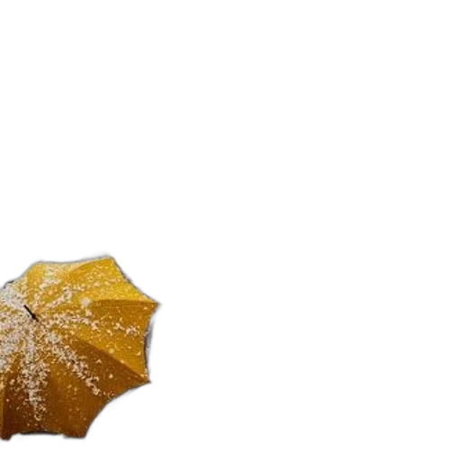 umbrella, crown, flower, hat transparent PNG cut-out