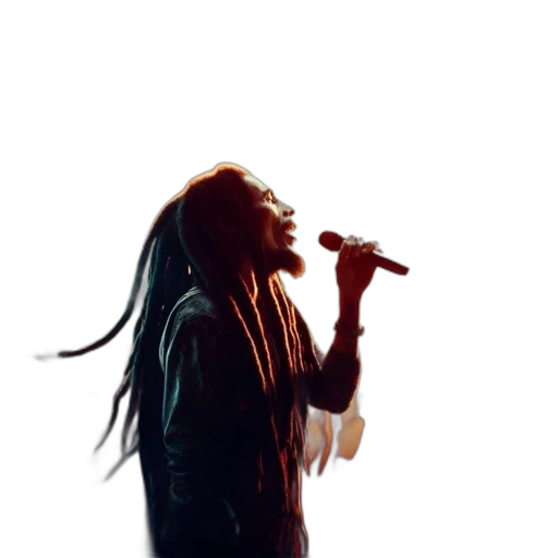 hair, man, locks, sings transparent PNG cut-out