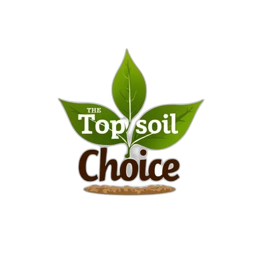 image, features, stylized, logo transparent PNG cut-out