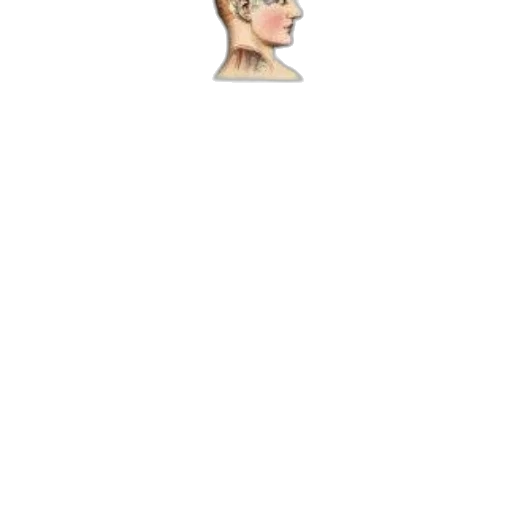 hat, hair, face, staff transparent PNG cut-out