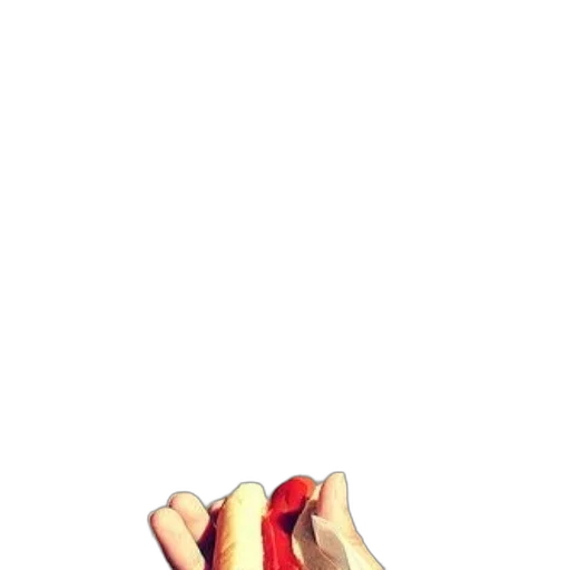 food, weapon, flower, shoes transparent PNG cut-out