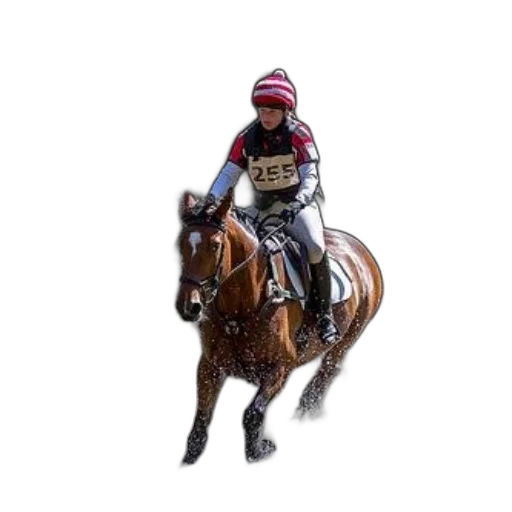 animal, photorealistic, pixel art, concept art transparent PNG cut-out