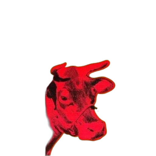 animal, hat, mask, shoes transparent PNG cut-out