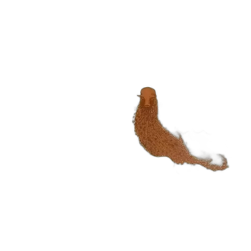 hair, animal, staff, shoes transparent PNG cut-out