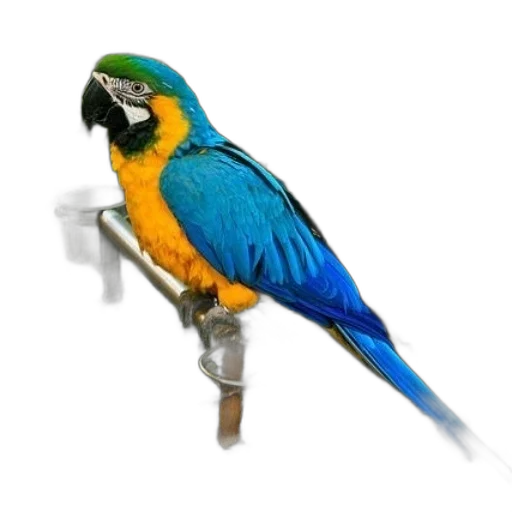 animal, staff, jewelry, crown transparent PNG cut-out