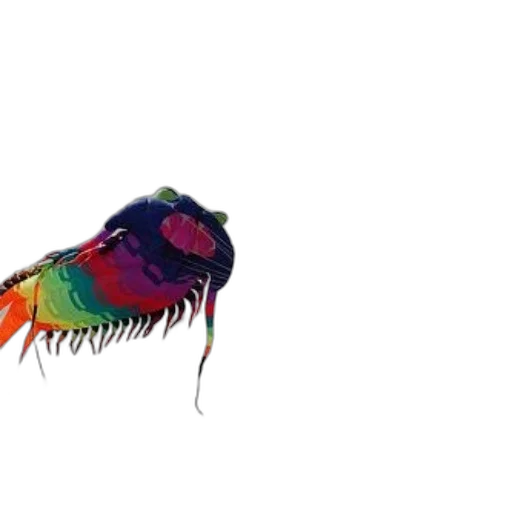 animal, creature, hat, hair transparent PNG cut-out