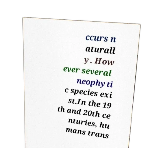 creature, animal, earth tones, poster transparent PNG cut-out
