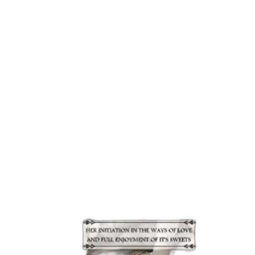 image, features, vintage-style, book transparent PNG cut-out