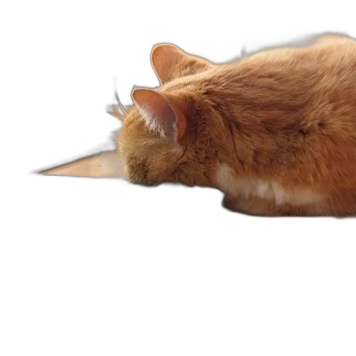 animal, hat, staff, creature transparent PNG cut-out