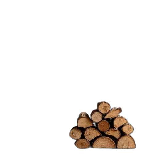 tree, furniture, food, jacket transparent PNG cut-out