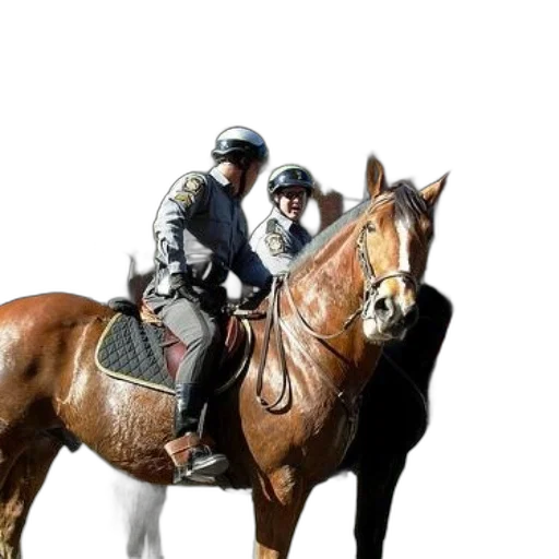 jacket, photorealistic, two, police transparent PNG cut-out