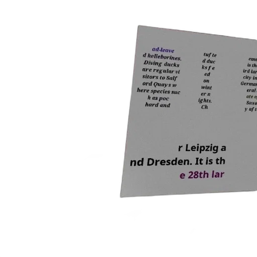 3d render, text-heavy, image, various transparent PNG cut-out