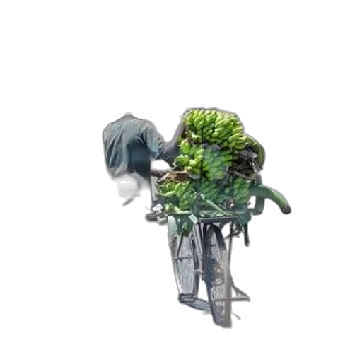 creature, staff, dragon, animal transparent PNG cut-out