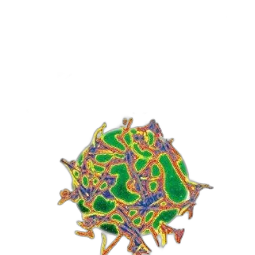 dragon, crown, jewelry, umbrella transparent PNG cut-out