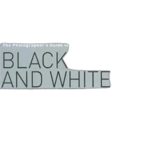 monochrome, dark, earth tones, photographer transparent PNG cut-out