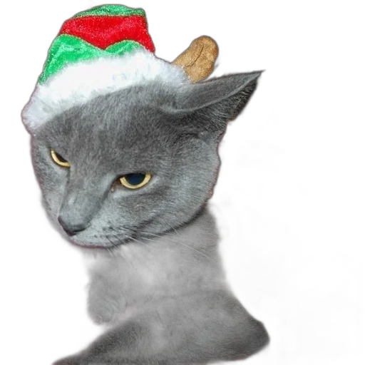 hat, animal, creature, staff transparent PNG cut-out