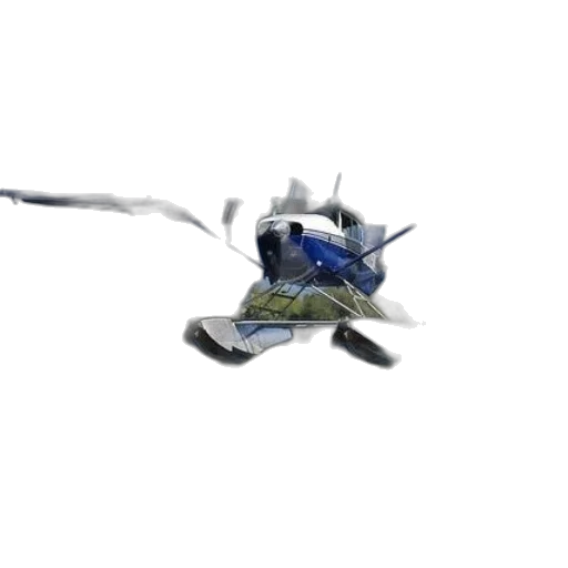 weapon, dragon, sword, staff transparent PNG cut-out