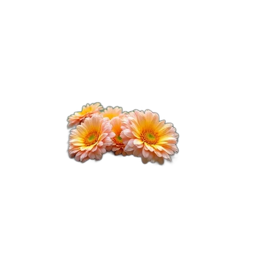jewelry, flower, crown, food transparent PNG cut-out