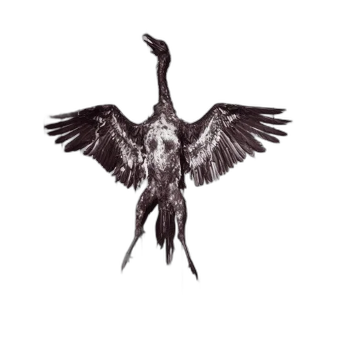 animal, dragon, creature, staff transparent PNG cut-out