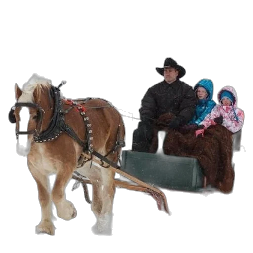 man, two, children, ride transparent PNG cut-out