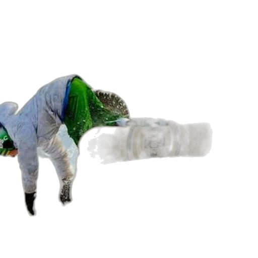 hat, umbrella, bottle, animal transparent PNG cut-out