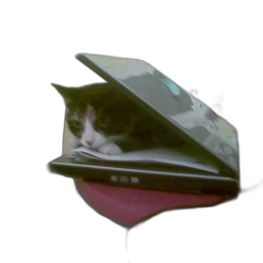 hat, umbrella, robot, animal transparent PNG cut-out