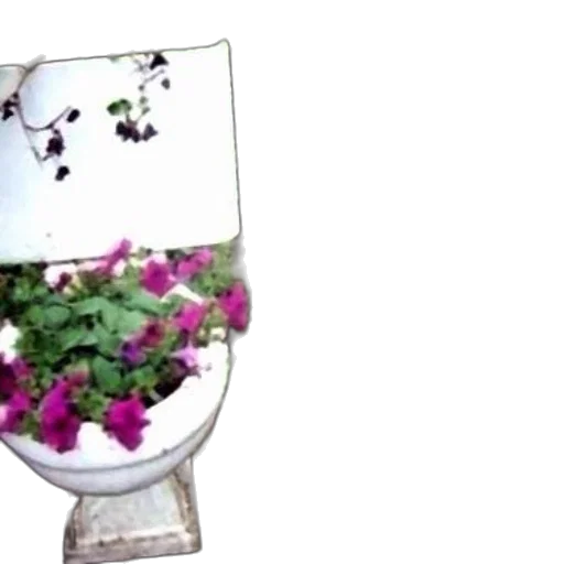 crown, flower, bottle, furniture transparent PNG cut-out