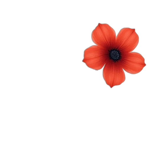 flower, dress, crown, hat transparent PNG cut-out