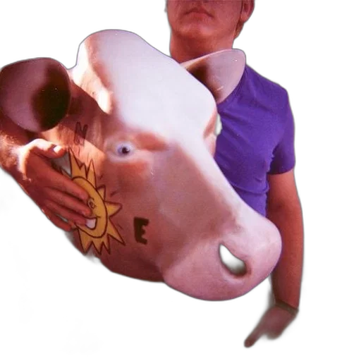 mask, animal, creature, face transparent PNG cut-out