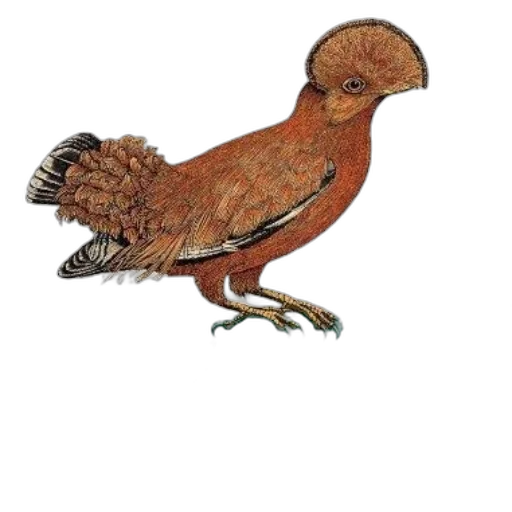 animal, staff, jewelry, dragon transparent PNG cut-out