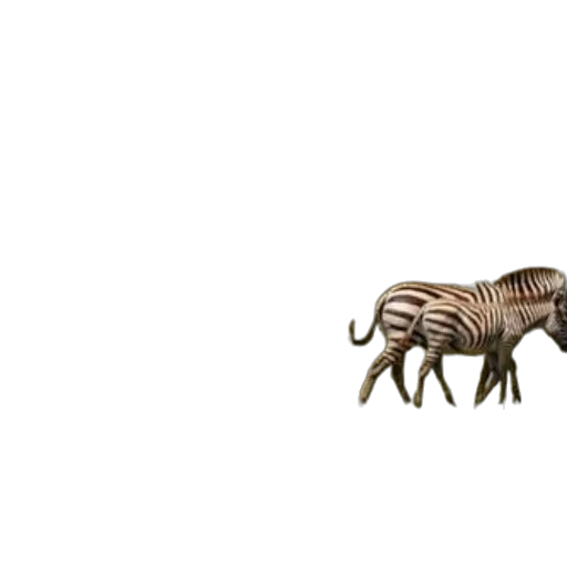 animal, creature, furniture, jewelry transparent PNG cut-out