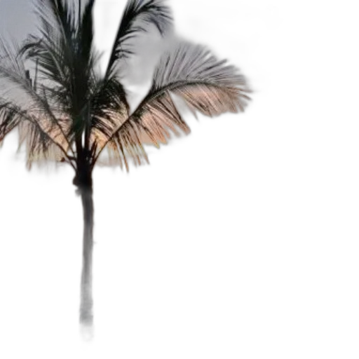 umbrella, tree, hair, hat transparent PNG cut-out