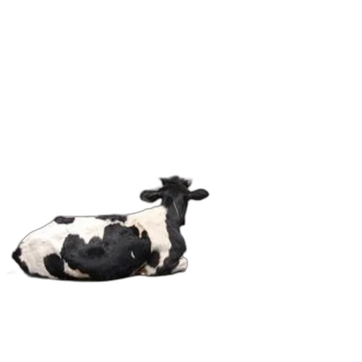 animal, hat, robot, food transparent PNG cut-out
