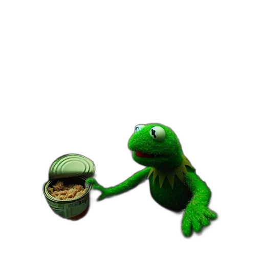 food, animal, creature, hat transparent PNG cut-out