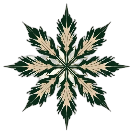 crown, flower, jewelry, umbrella transparent PNG cut-out