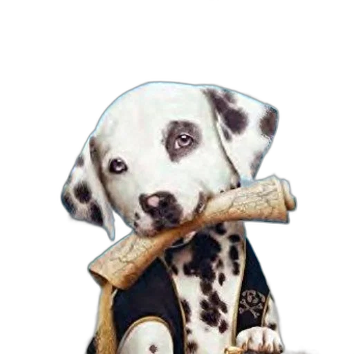 staff, animal, jewelry, weapon transparent PNG cut-out