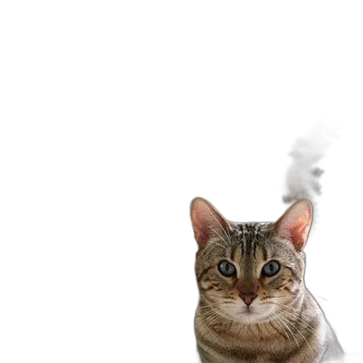 staff, animal, dragon, weapon transparent PNG cut-out