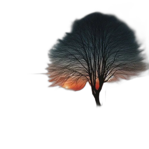 hair, tree, hat, crown transparent PNG cut-out