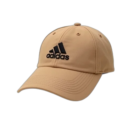 hat, jacket, crown, staff transparent PNG cut-out