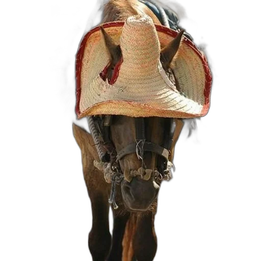 hat, animal, mask, staff transparent PNG cut-out
