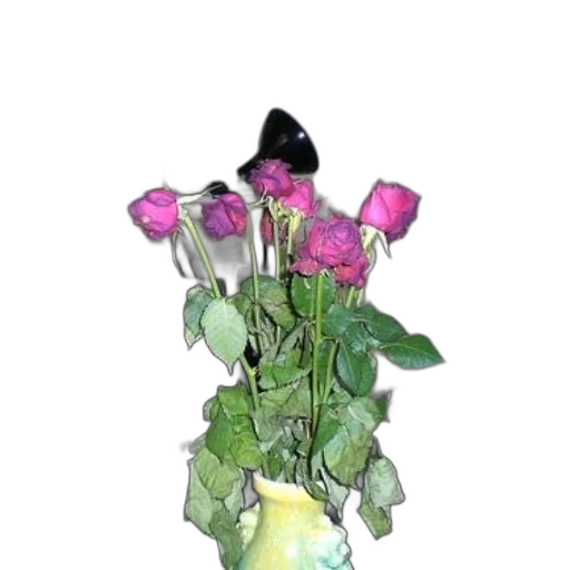 flower, crown, jewelry, staff transparent PNG cut-out