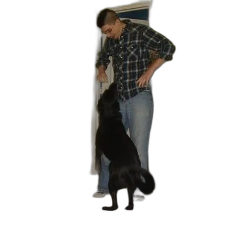 animal, staff, creature, jacket transparent PNG cut-out