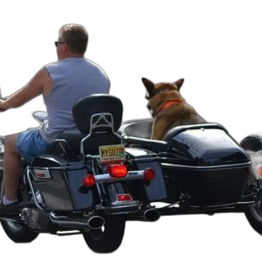 car, animal, man, rides transparent PNG cut-out
