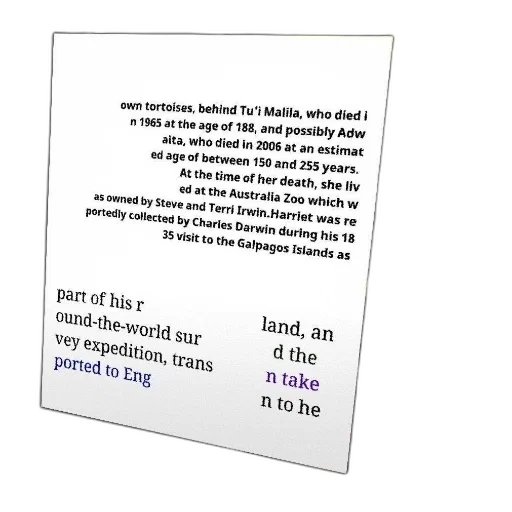 jewelry, text-based, image, discussing transparent PNG cut-out