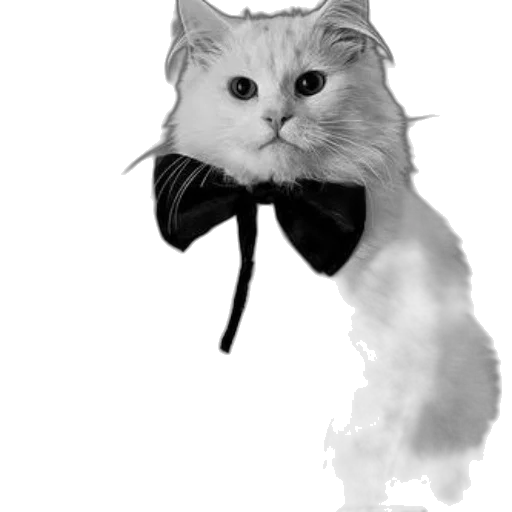 staff, hat, animal, umbrella transparent PNG cut-out