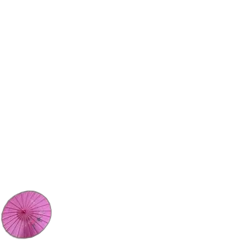 flower, umbrella, hair, hat transparent PNG cut-out