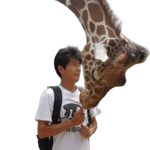 animal, creature, umbrella, staff transparent PNG cut-out