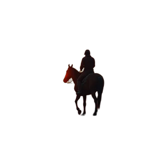 hat, animal, staff, jacket transparent PNG cut-out