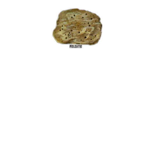 food, jewelry, jacket, animal transparent PNG cut-out