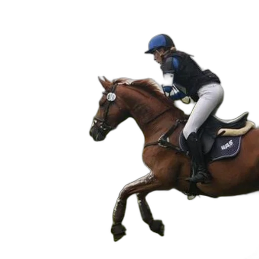 photorealistic, rider, blue, helmet transparent PNG cut-out